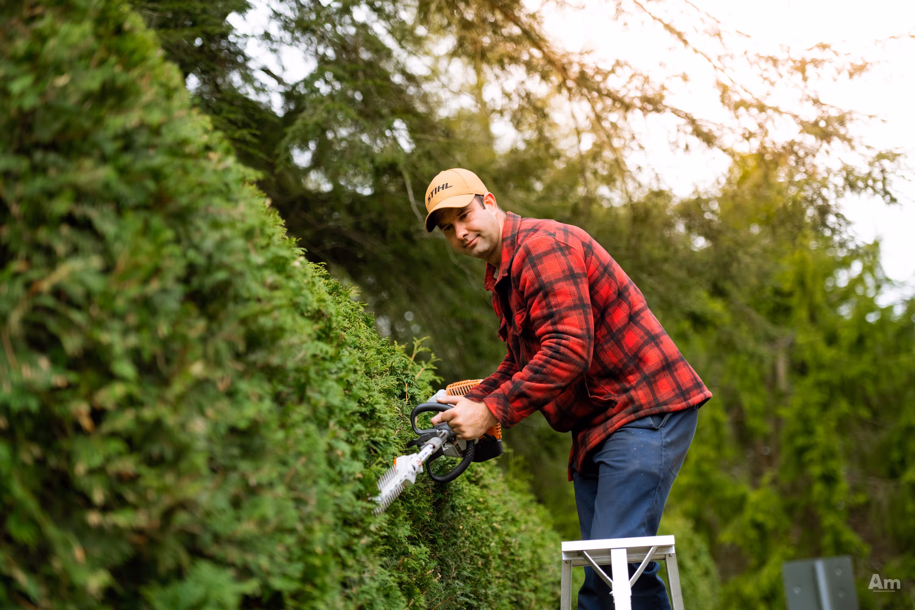 Service de taille de haies à Sherbrooke - Entretien paysager suprême EP suprême - Sherbrooke Magog