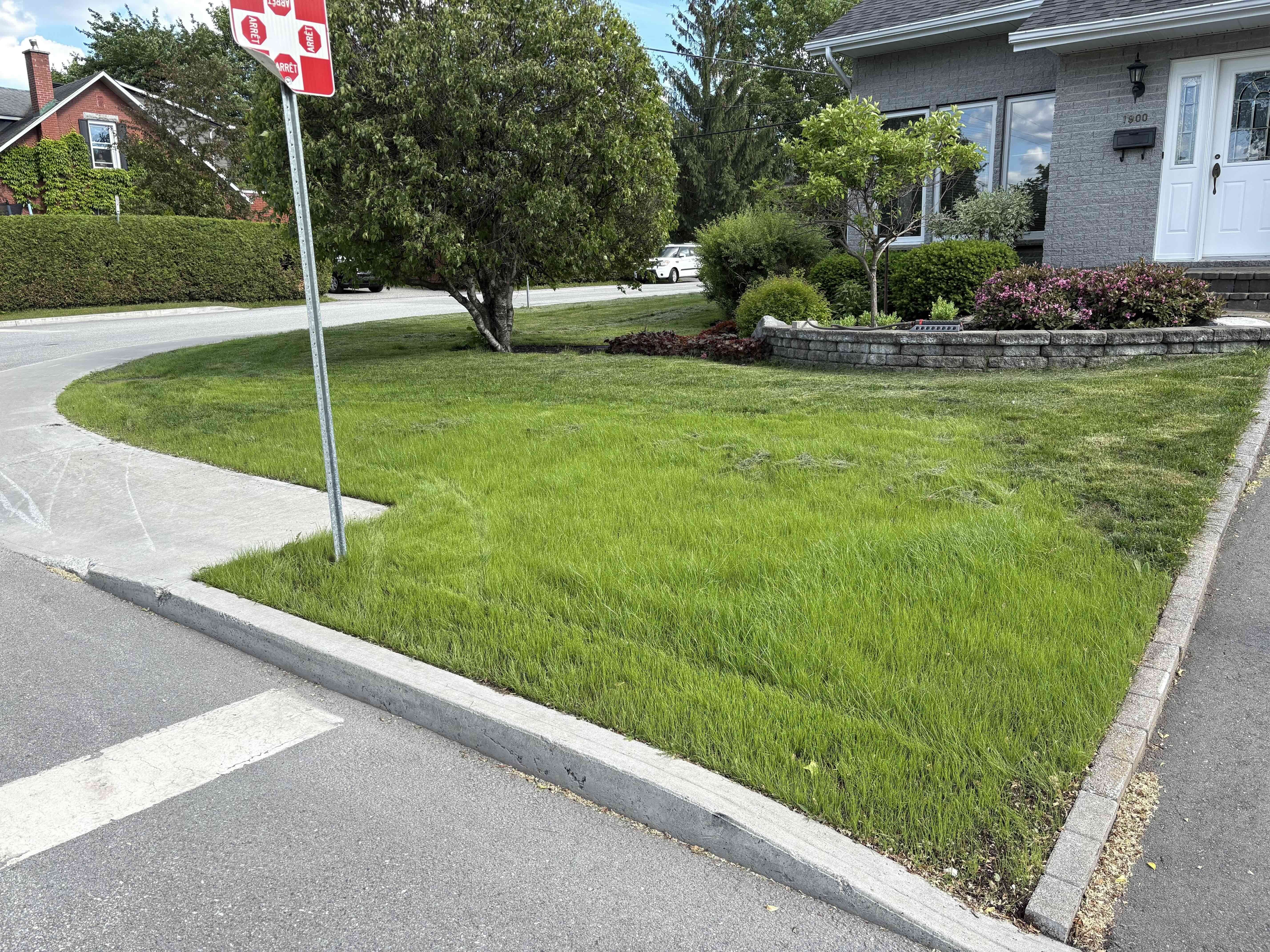 Pelouse refaite devant une maison de Sherbrooke