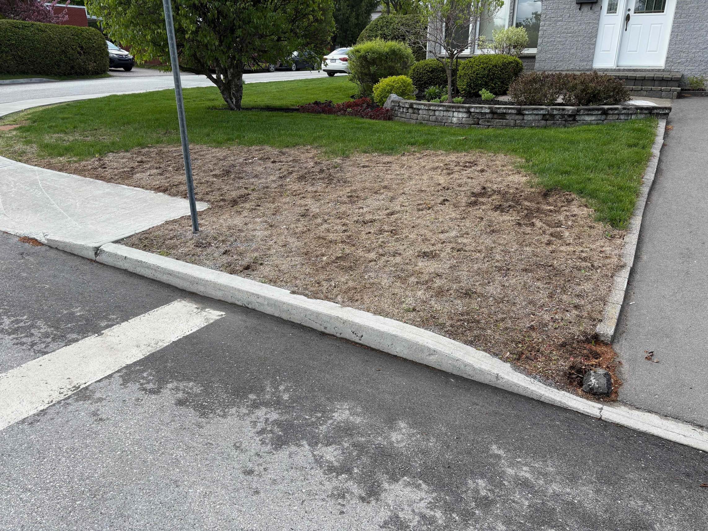 Terrain avant les travaux de paysagement